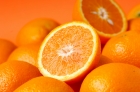 CONTRATO TIPO COMPRA-VENTA NARANJAS Y MANDARINAS CAMPAÑA 2015-2016 - ASESORÍA OFIGEM