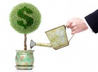 SE ESTABLECE EL SALARIO MÍNIMO INTERPROFESIONAL PARA 2017 - ASESORÍA OFIGEM
