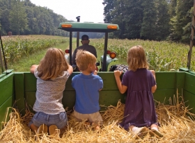AYUDAS PLAN RENOVE, MAQUINARIA AGRÍCOLA, PARA 2019. - ASESORÍA OFIGEM
